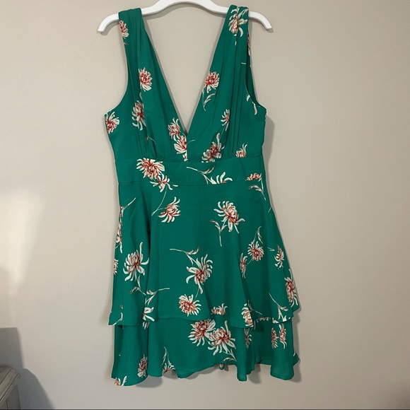 NWT BB Dakota garden strolls dress in green! - Picture 14 of 16